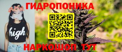 ПСИЛОЦИБИНОВЫЕ ГРИБЫ Изобильный